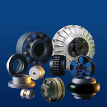 Couplings Groupshot1